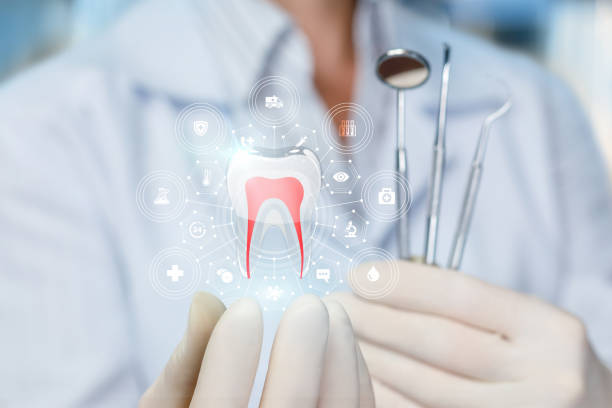 Professional Holistic Dental Care Services in Portales, NM